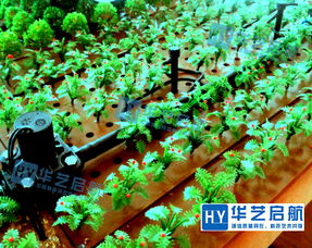 農(nóng)業(yè)沙盤 農(nóng)業(yè)沙盤設計方案