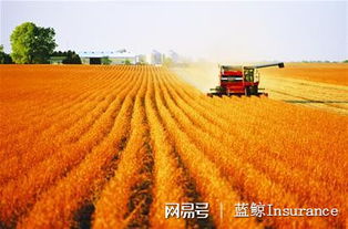 護航農(nóng)業(yè)發(fā)展保險擔重任,5類保險首秀中央一號文件