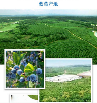 鄂州梁子湖白龍有機農(nóng)業(yè)科技開發(fā)企業(yè)簡介